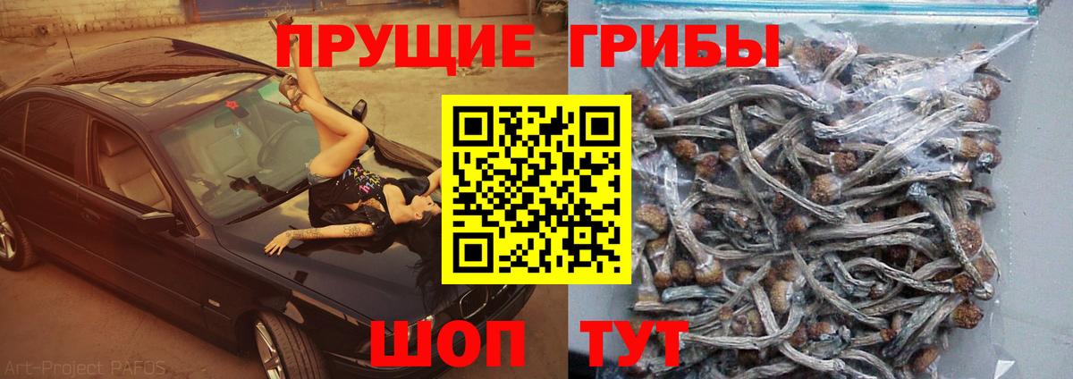 Псилоцибиновые грибы Magic Shrooms Нижний Тагил